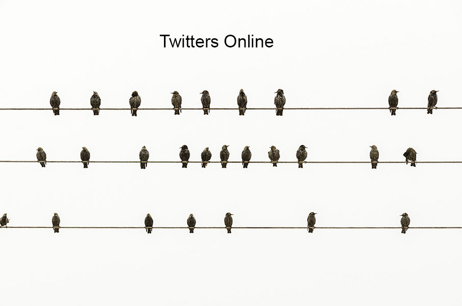 Twitters online for coding
